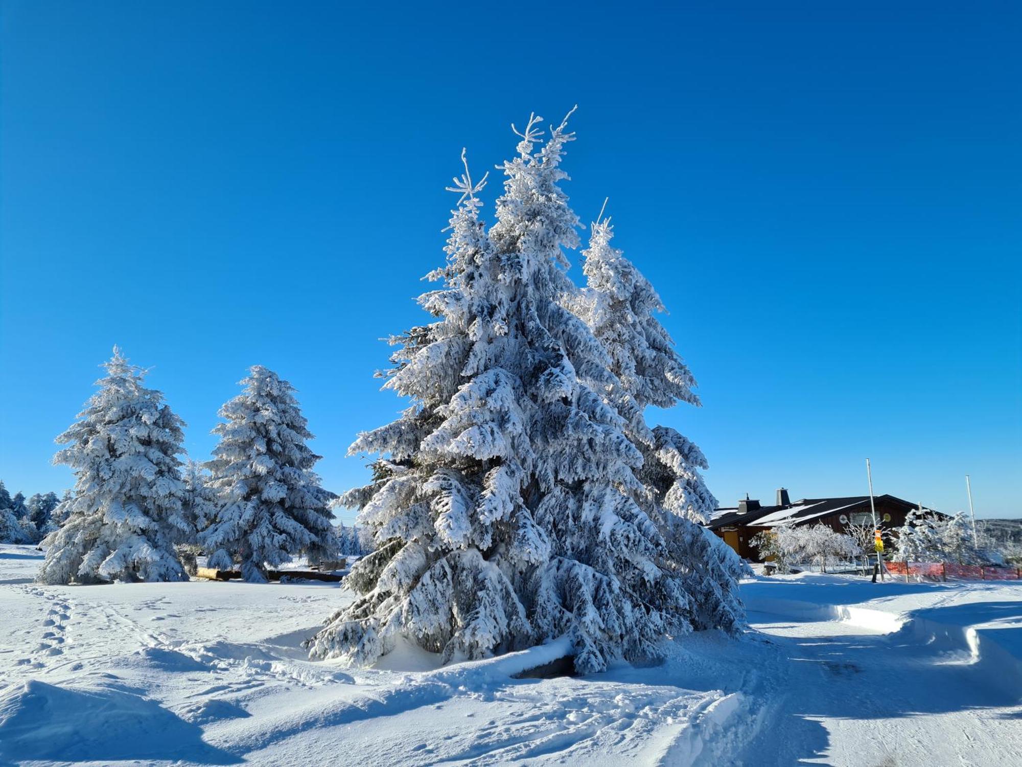 Hotel & Ferienappartements Edelweiss Willingen  Εξωτερικό φωτογραφία